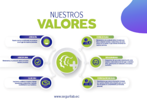 PRESENTACIÓN SEGURILAB.png